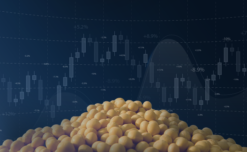 Sojabohnen: Trading-Strategien