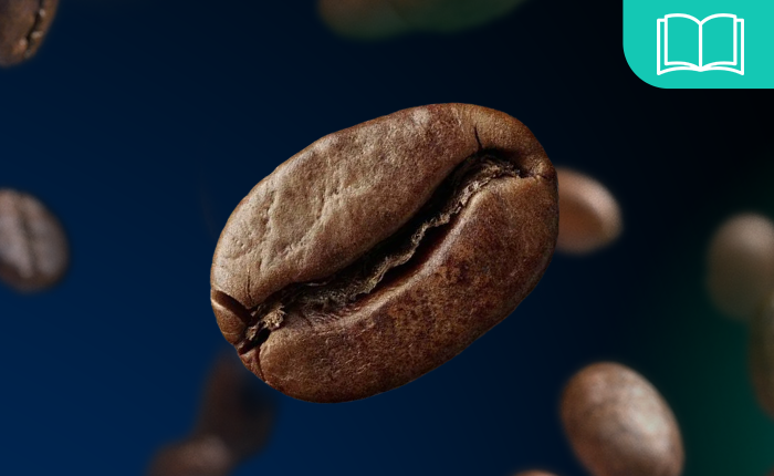 Wie man in Kaffee investiert