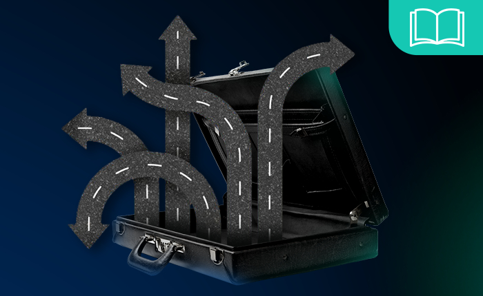 Investimenti alternativi: guida al portafoglio