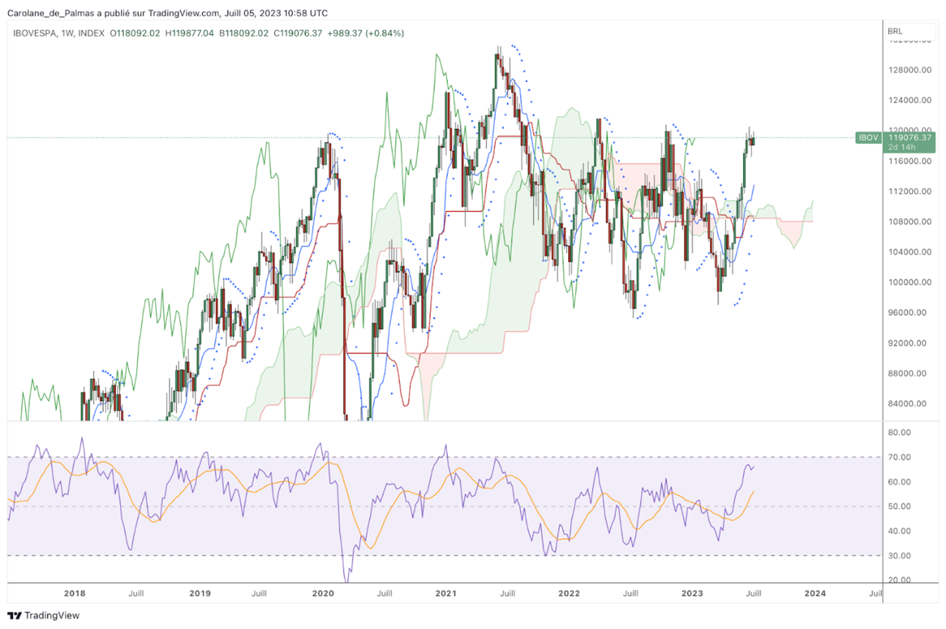 Guide d'investissement Bovespa