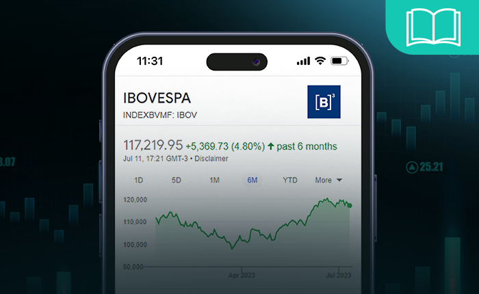 Guida investimenti Bovespa