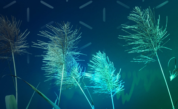 Zucker: Thailand-Produktion sinkt stark