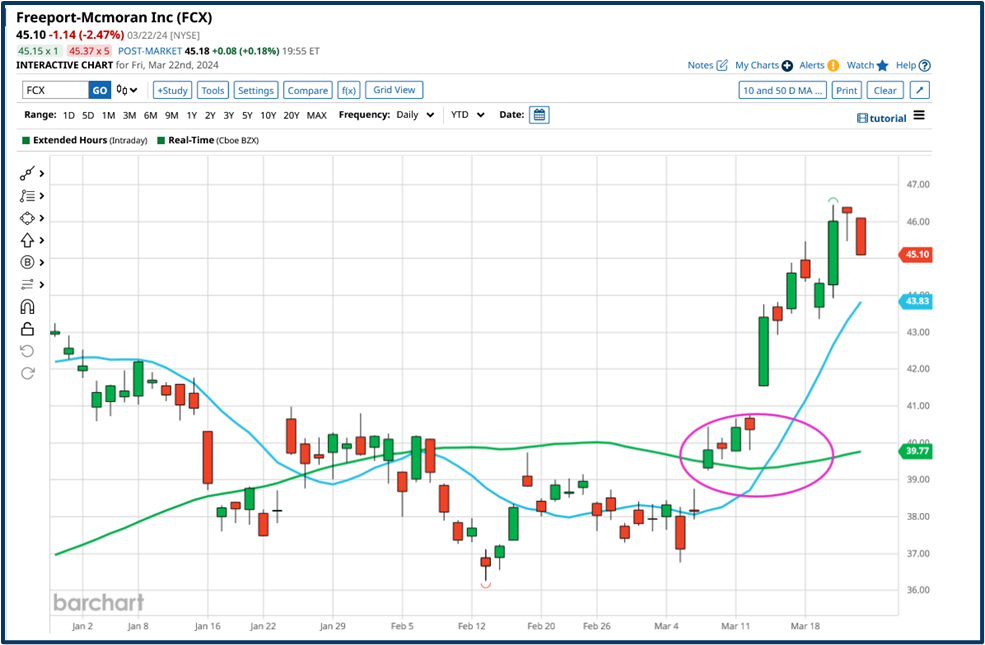 Year-end market review