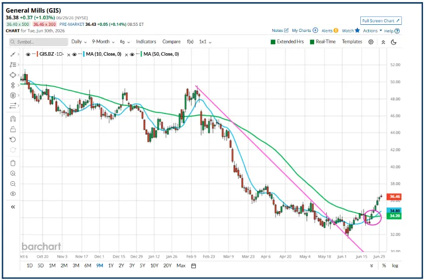 Why are stocks with a dividend yield out of fashion?
